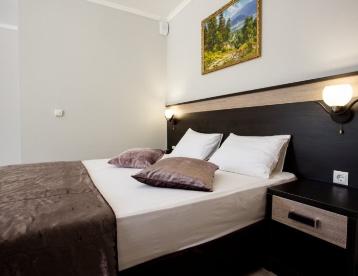 2-x местный стандарт плюс - Отель «Ателика Гранд Оазис» Бжид